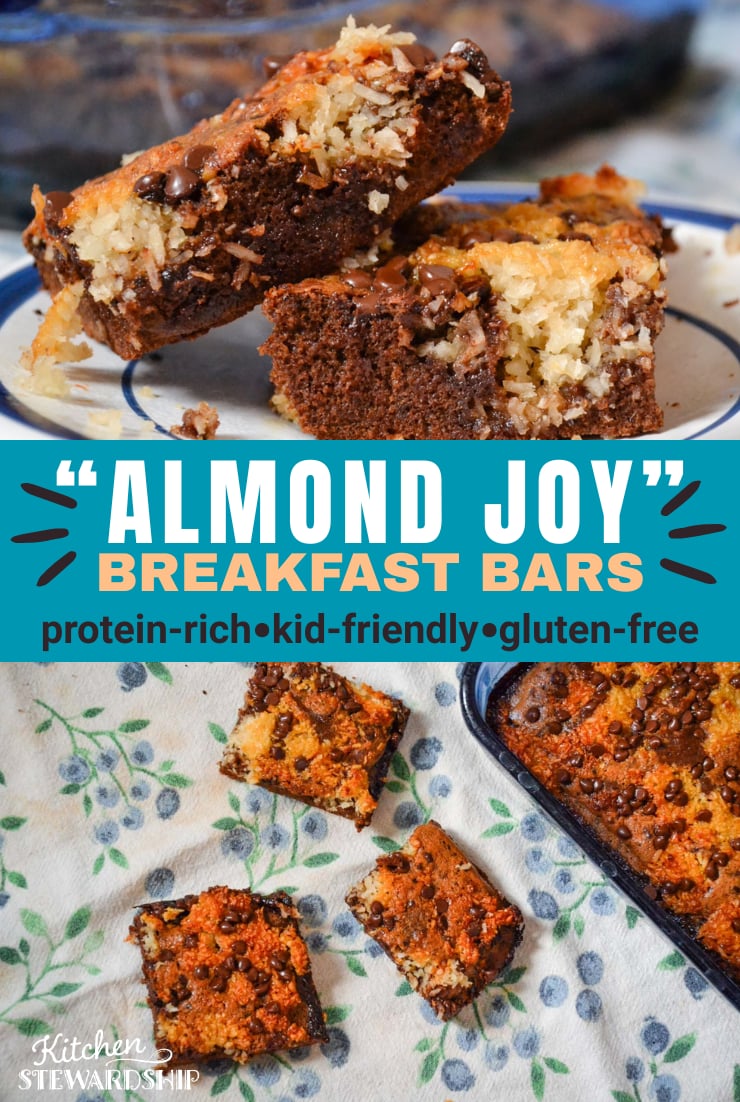 Almond Joy breakfast bars